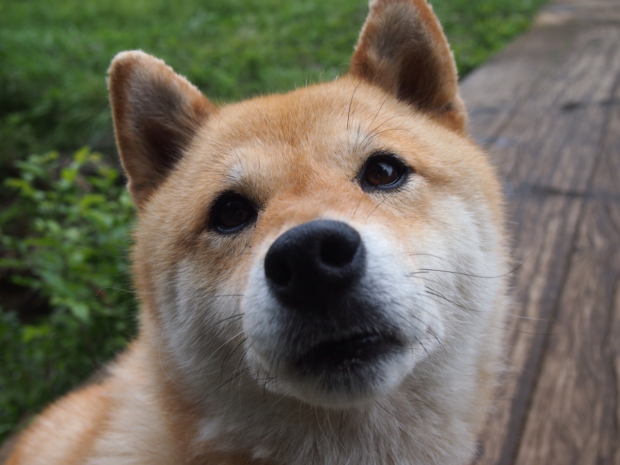 开云体育入口-球员节奏变化是否来自训练还是比赛直觉,篮球中的节奏是什么意思