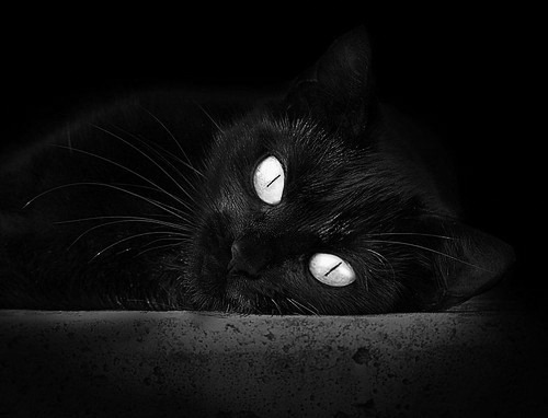 开云体育视频直播-蒙彼利埃善用角球制造威胁，蒙彼利埃号