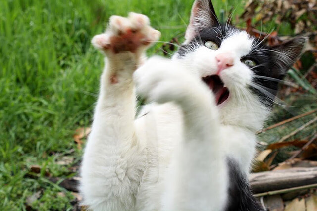 开云集团中国官网-高位压迫与快攻切换无缝对接,怎么破高位压迫